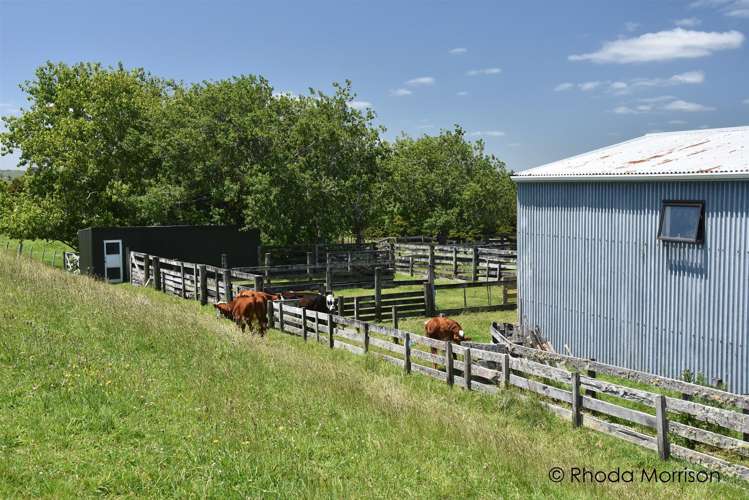 321 Heatley Road Whakapirau_33