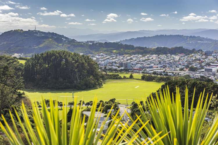 43 Farnham Street Mornington_17