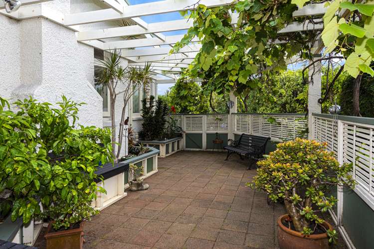 74 Mains Avenue Kensington_8