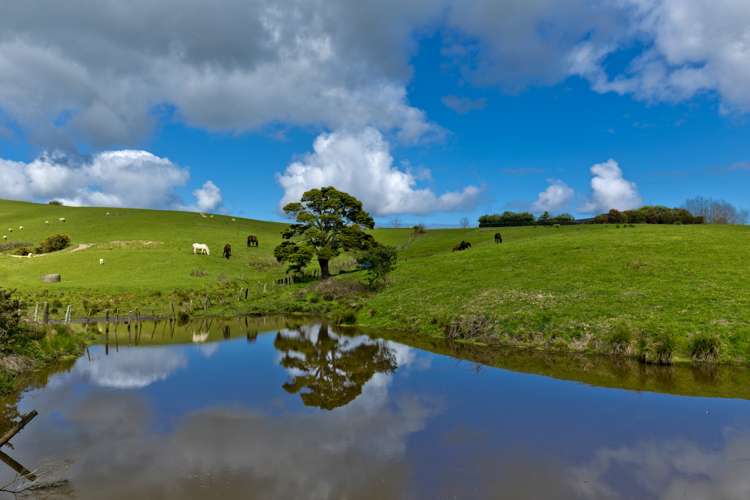 905 Old North Road Waimauku_17