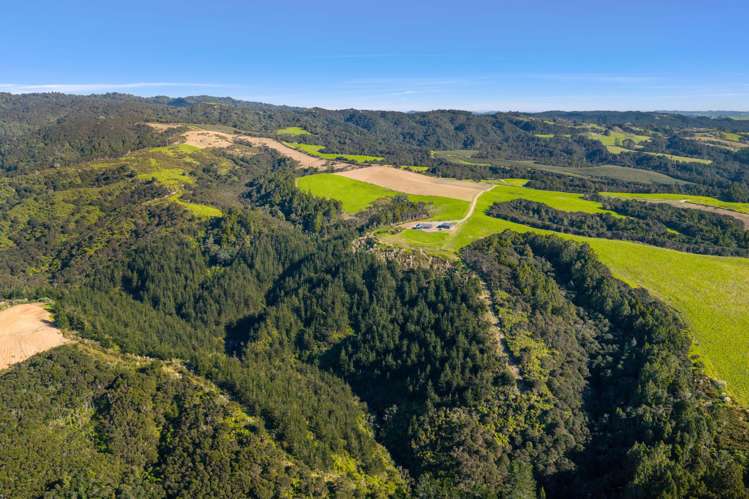 647 Millbrook Road Waipu_20