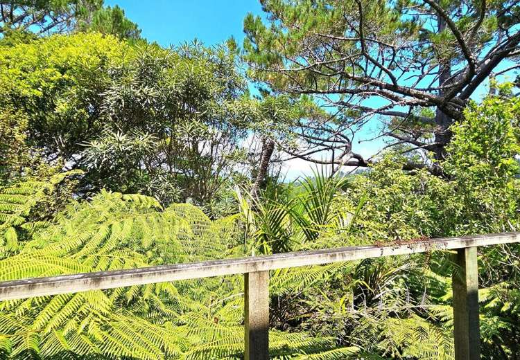 Lot 3 Rakautapu Road Kohukohu_13