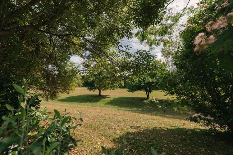 28 Kentucky Way Awapuni_29