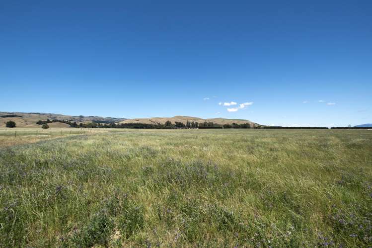 855 Omihi Road Omihi_14