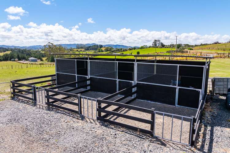 438C Glenmohr Road Waipu_25