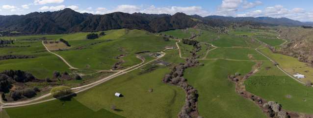 283 Minginui Road Galatea_3