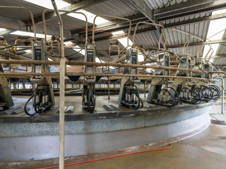 1427 Mititai Road Arapohue_6