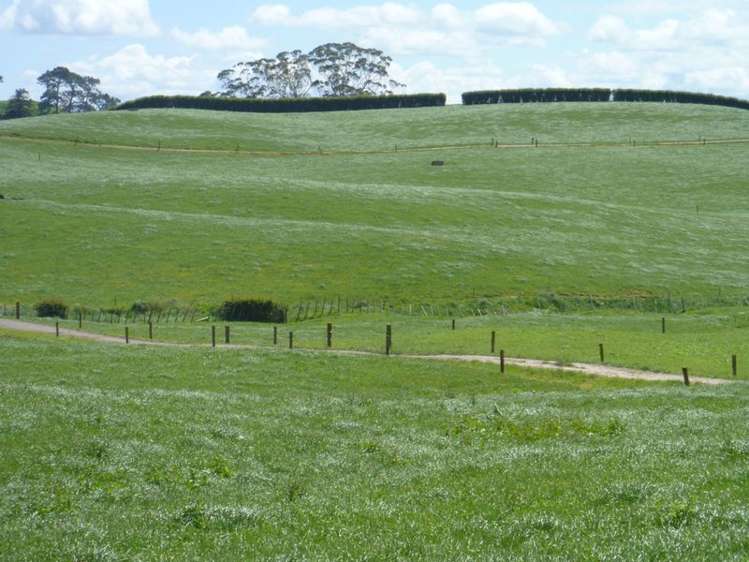 646 Henry Watson Road Richmond Downs_10