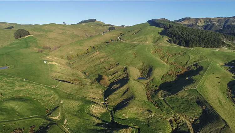 631 Otahome Road Whareama_6