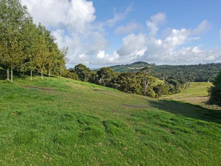 215 Judge Richardson Drive Opaheke_17