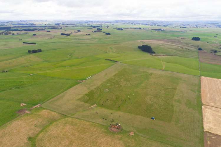 63b Sligo Terrace Roslyn_7