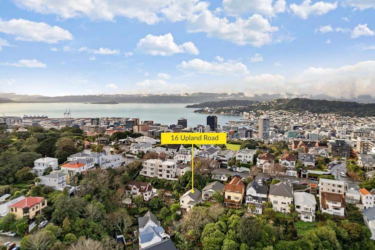 16 Upland Road Kelburn_36