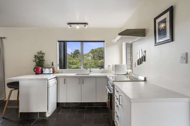 114c Western Springs Road Morningside_8