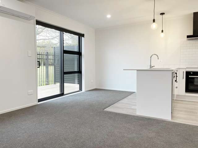 5/5 Arawa Street Frankton_1