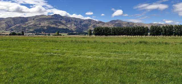 481 Camp Hill Road Hawea Flat_1