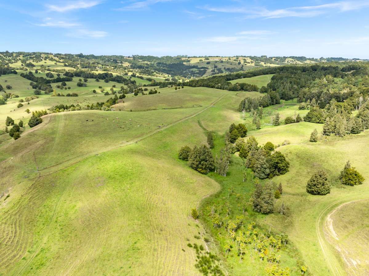 47B Mihi Road_3