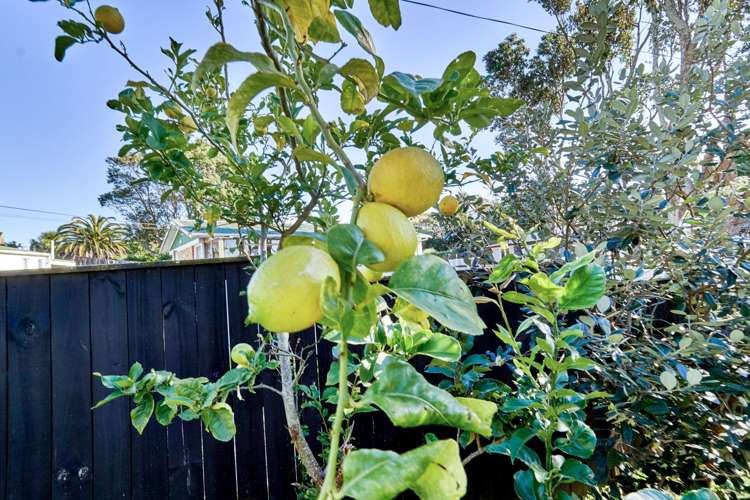 1/36 Panama Road Mount Wellington_13