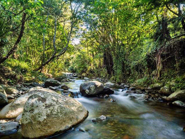 82 Upland Road Aongatete_2