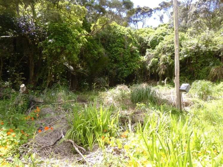 4 Goodwin Avenue Oneroa_5