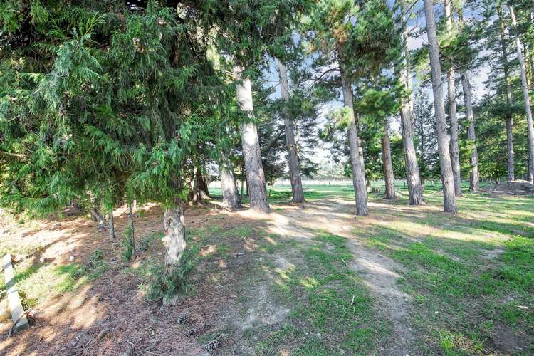 562 No 10 Road Swannanoa_31