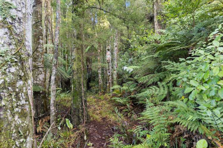 80 Pupu Valley Road Takaka_11