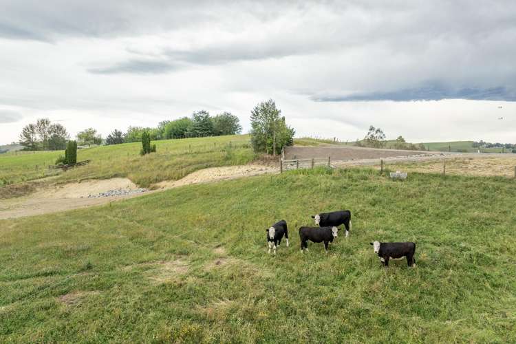 Lots 2-3-4 Hatuma Road Rd2, Waipukurau_25