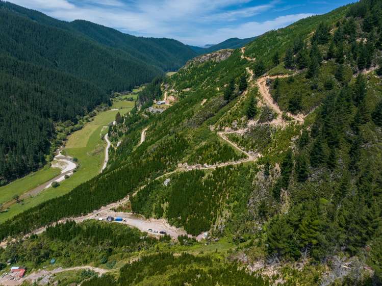 785 Waikakaho Road Tuamarina_13