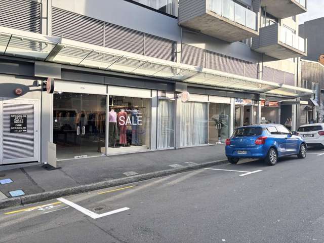 17A College Street Te Aro_3