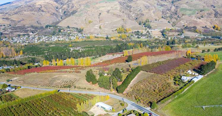 237 Roxburgh East Road Roxburgh East_25