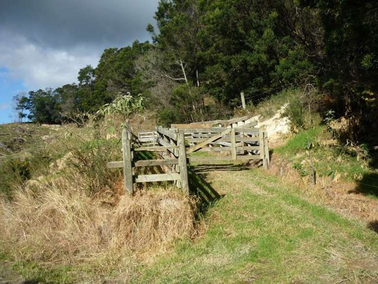 17 Factory Lane Hikurangi_7