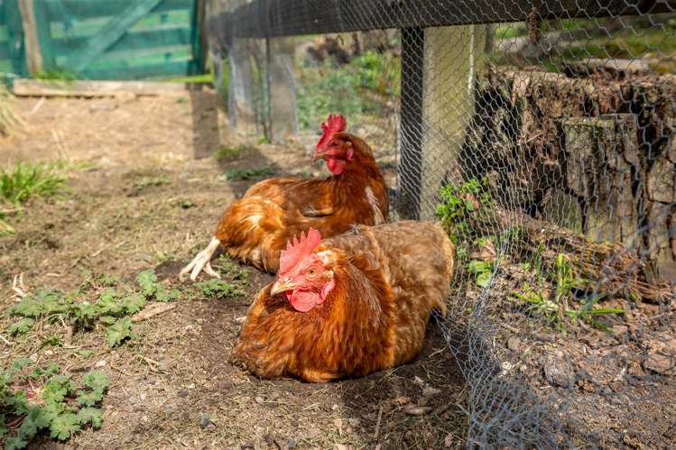 69 Quail Valley Road Wakefield_25