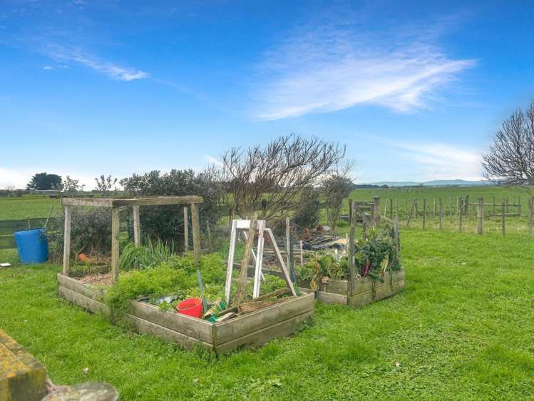 127 Main Drain Road Glen Oroua_9