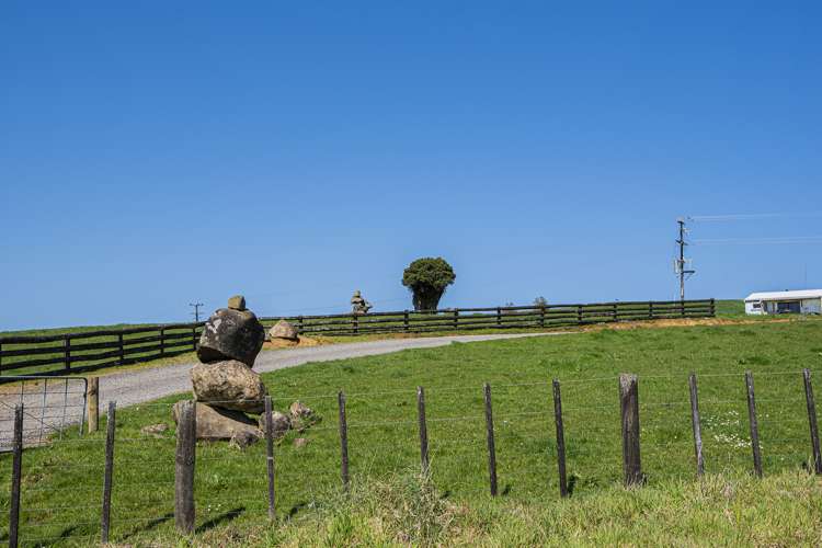 24 Foster Road Dargaville Surrounds_17