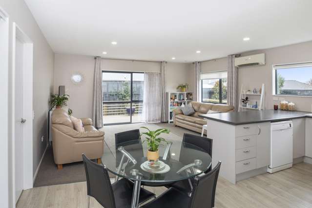 33 Ottawa Road Wainoni_1