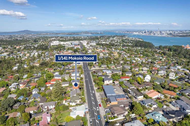 1/141 Mokoia Road Birkenhead_13