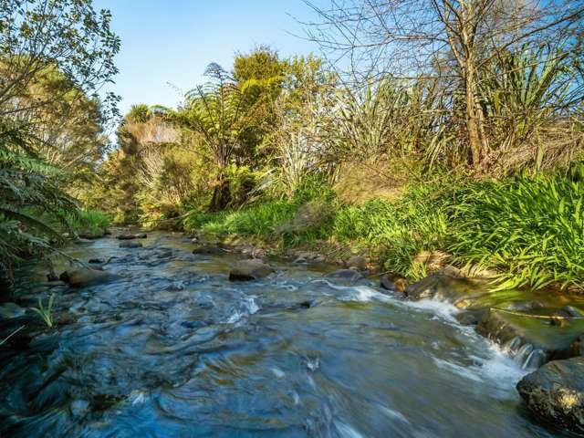 237B Busby Road Katikati_3