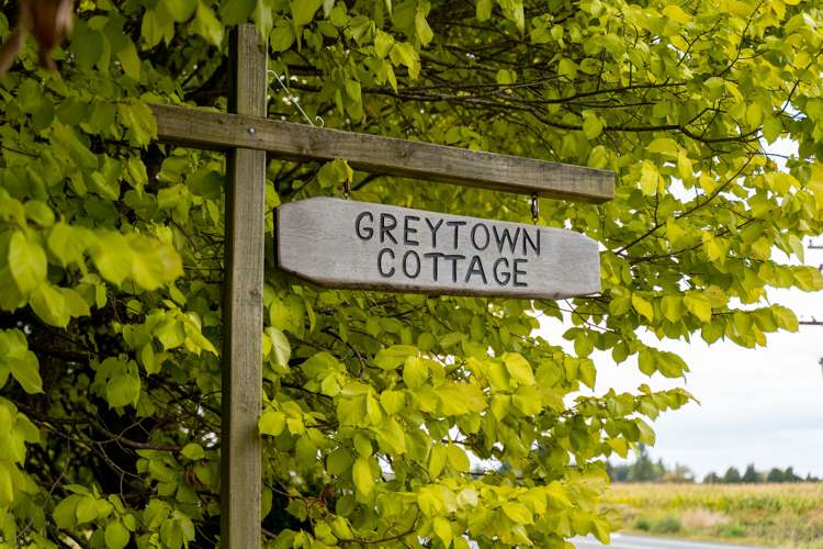 2481 State Highway 2 Greytown_18