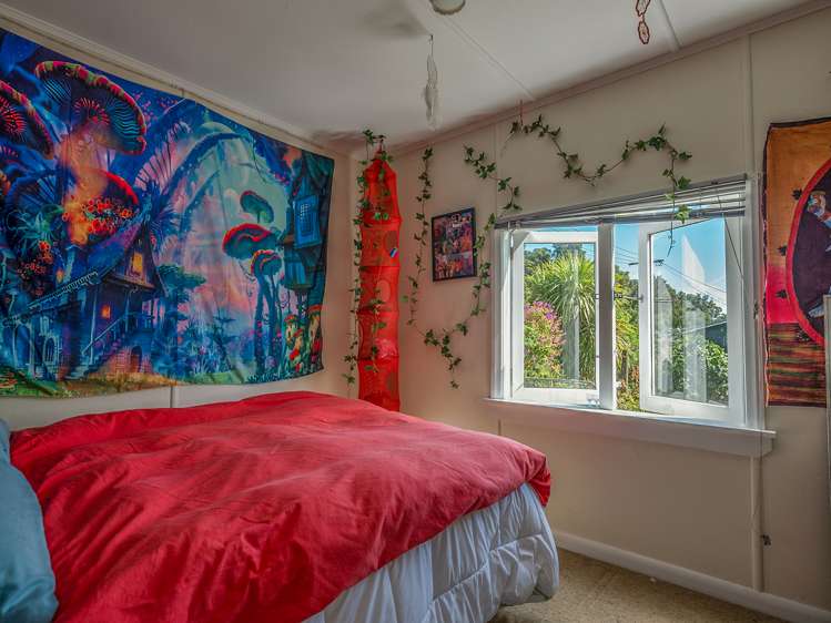 23 Haile Lane Kahurangi National Park_8