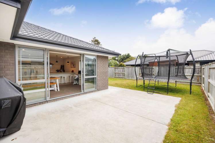 71 North Street Ashhurst_12