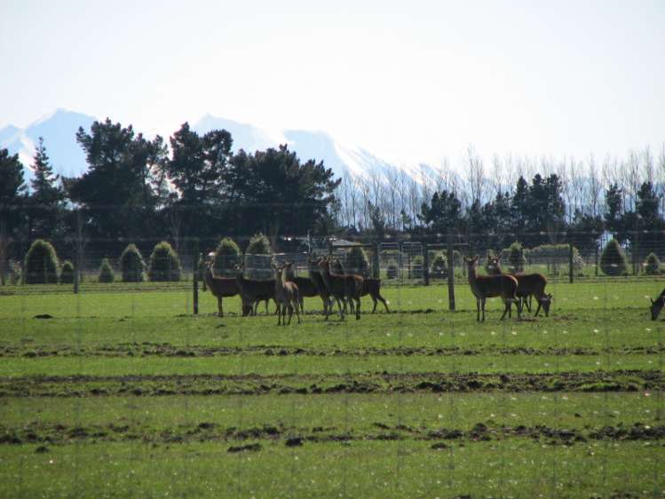 193 Winchmore School Road Winchmore_3