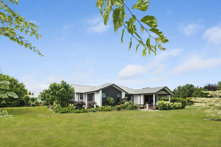 41 Eldonwood Drive Matamata_5