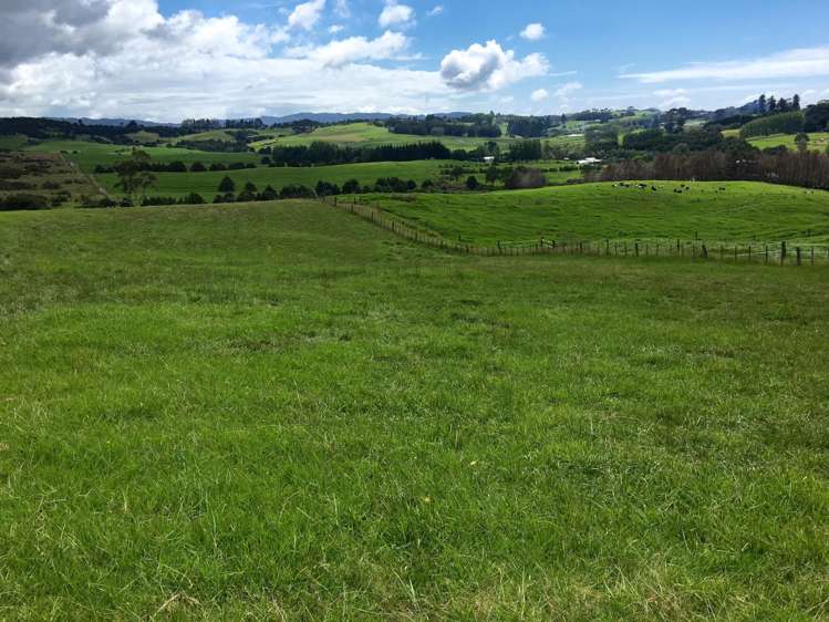 244 Devich Road Mangawhai_4