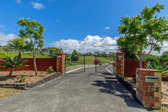 73 Ashwood Avenue Dairy Flat_2