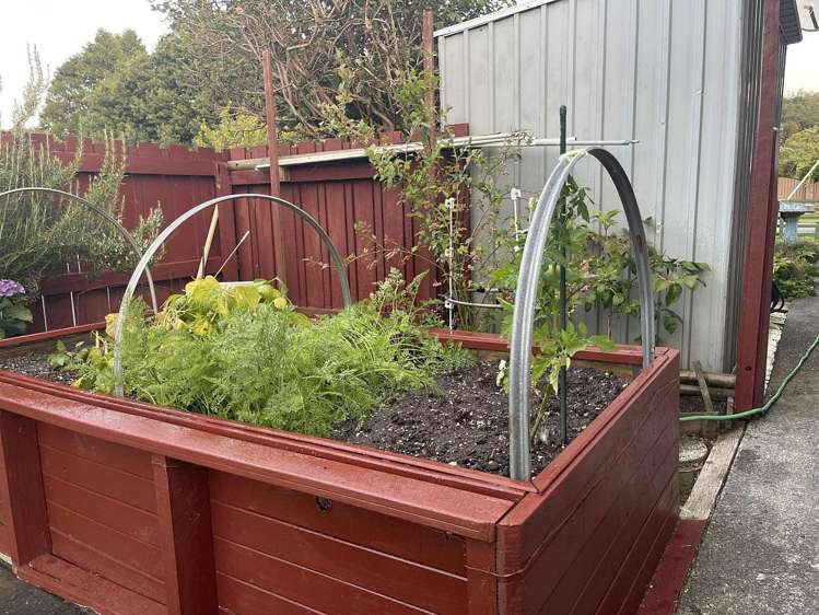 38 Whitemans Road Silverstream_14