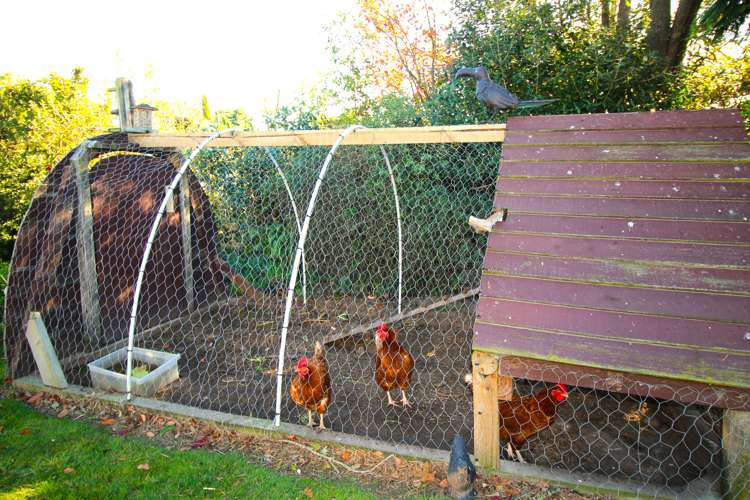 177 Eden Street Oamaru_18