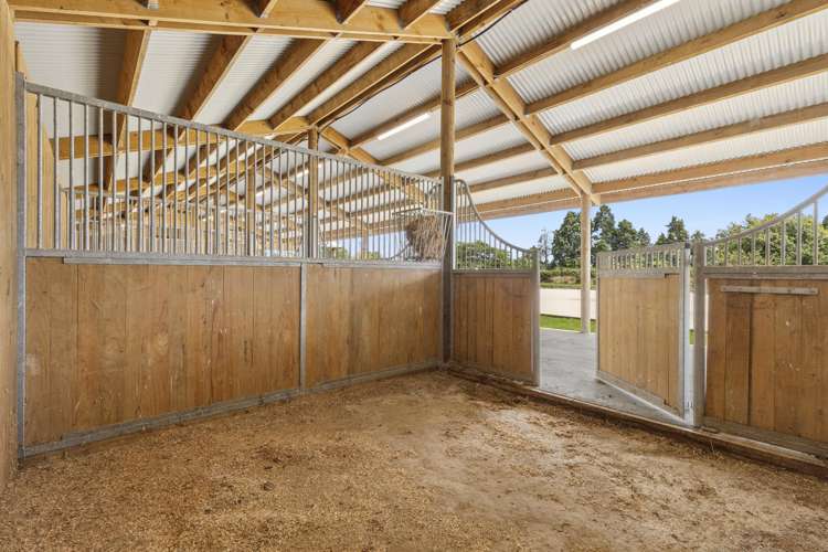 18 Judge Road Rotoorangi_9