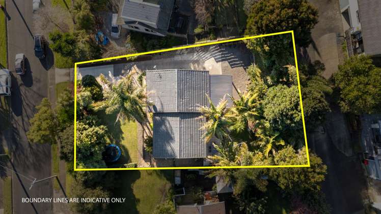 23 Carlton Street Bellevue_19