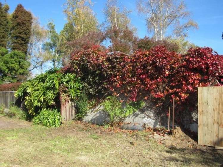 110b Williams Street Cambridge_4