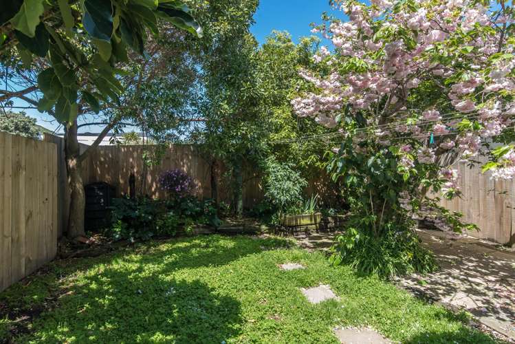 20 Glendavar Street Berhampore_19