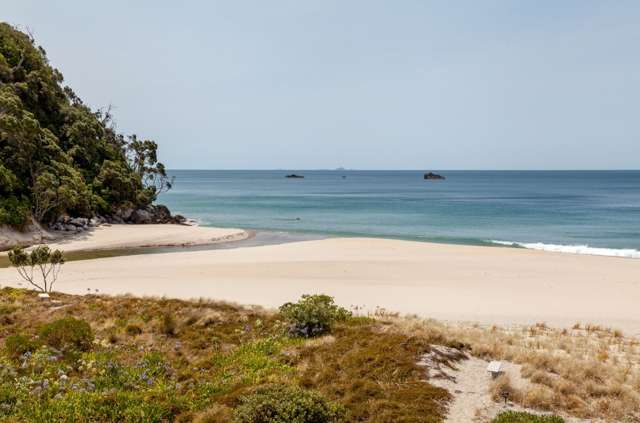 36a Fishermans Bend Whiritoa_4